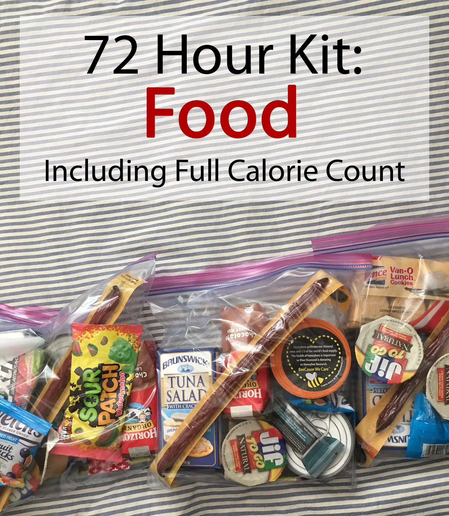 72 Hour Kit: Food (with calorie count). Don't get led astray — active adults need a lot of calories to stay on the ball in an emergency. How does your kit stack up?